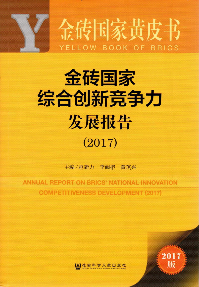 日本美女叉开双腿,露出小骚逼,让哥先操逼…金砖国家综合创新竞争力发展报告（2017）